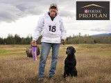 National Retriever Club of Canada (NRCC)