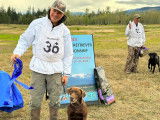National Retriever Club of Canada (NRCC)