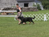 Rottweiler Club of Canada (RCC)
