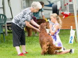 Irish Setter Club of Canada