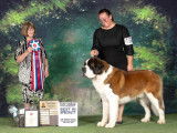 Saint Bernard Fanciers of Canada