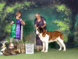 Saint Bernard Fanciers of Canada