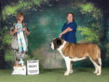 Saint Bernard Fanciers of Canada