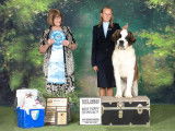 Saint Bernard Fanciers of Canada
