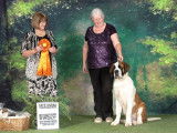 Saint Bernard Fanciers of Canada