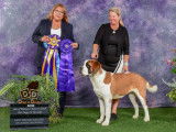 Saint Bernard Fanciers of Canada
