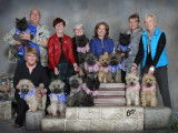 Cairn Terrier Club of Canada