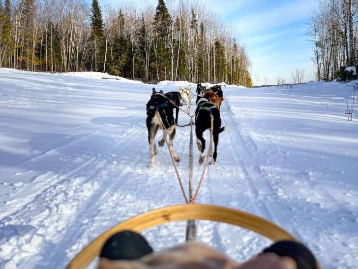 Alaskan du Nord