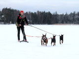 Canadian Manchester Terrier Club (CMTC)