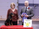 Canadian Manchester Terrier Club (CMTC)