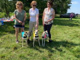 National Whippet Club of Canada