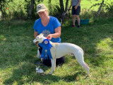 National Whippet Club of Canada