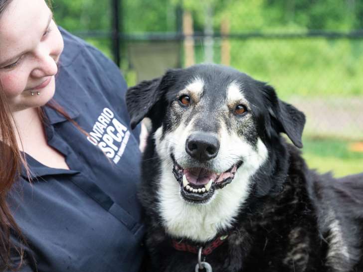 Sudbury & District Animal Centre