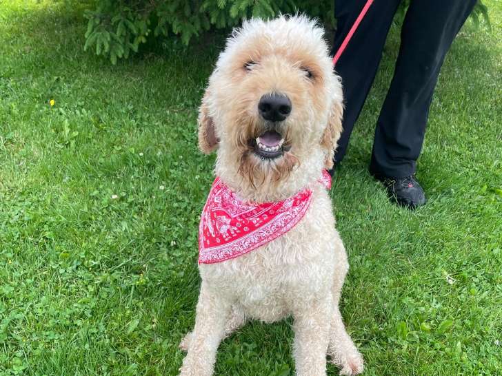 Fort Erie SPCA
