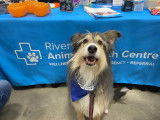 Riverview Animal Health Centre
