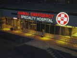 Ottawa Animal Emergency & Specialty Hospital