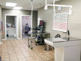 Pinnacle Animal Hospital (PAH)