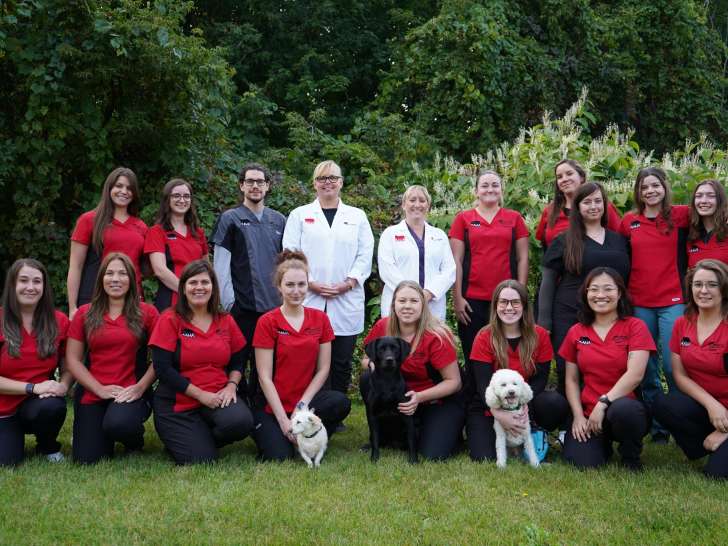 Pembroke Animal Hospital