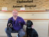 Chelmsford Animal Hospital