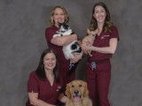 Cassells Animal Hospital