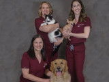 Cassells Animal Hospital