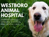 Westboro Animal Hospital