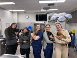 St. Lawrence Valley Animal Hospital