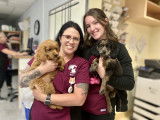 Grenville-Dundas Veterinary Clinic