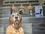 EastSide Veterinary Services