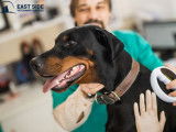 EastSide Veterinary Services