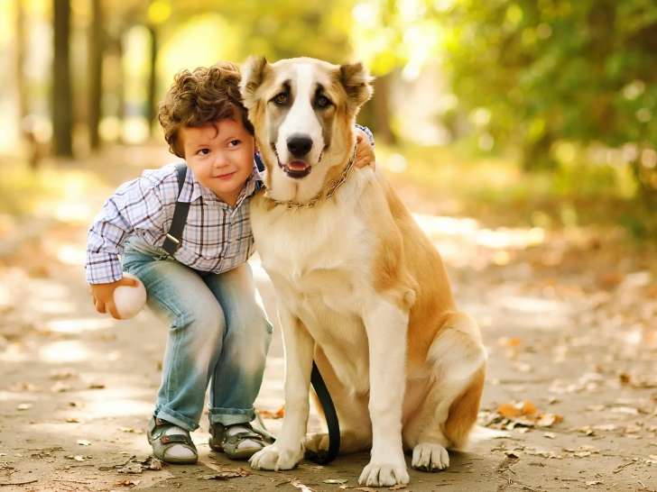 Upper Canada Veterinary Services