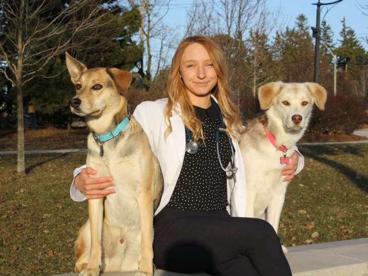 Dundas Veterinary Services