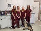 Valley Veterinary Clinic