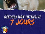 reeducation intensive