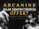 educateur canin strasbourg