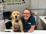 Petawawa Animal Hospital