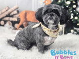 Bubbles n' Bows