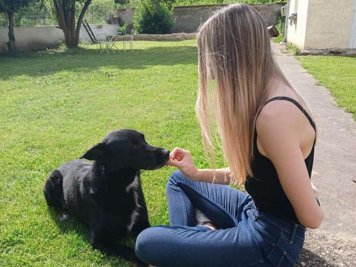 L’Illo Chiens