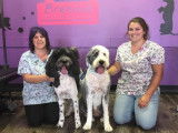 Brenda’s Academy of Professional Dog Grooming
