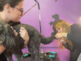 Brenda’s Academy of Professional Dog Grooming