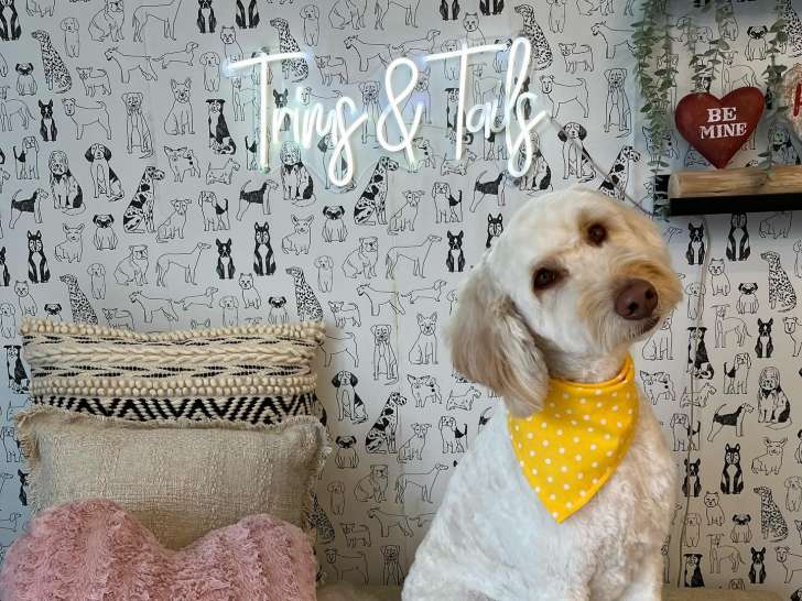Trims & Tails