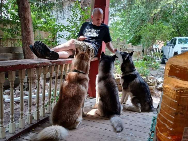 Different Breed Pet Services