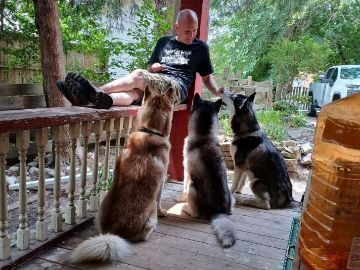 Different Breed Pet Services