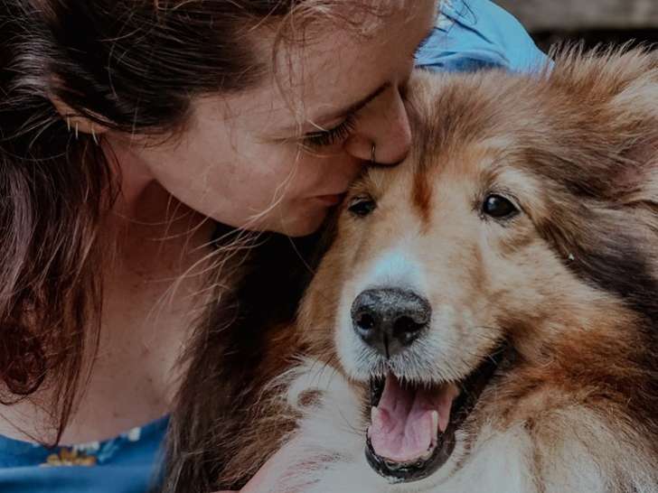 Salty Dog Pet Grooming