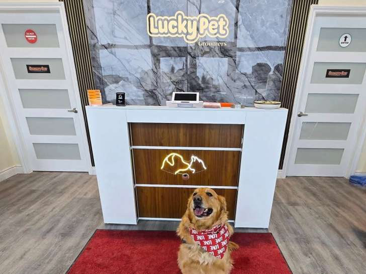 Lucky Pet Groomers