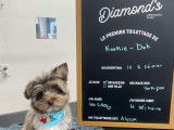 Diamond’s Grooming Shop