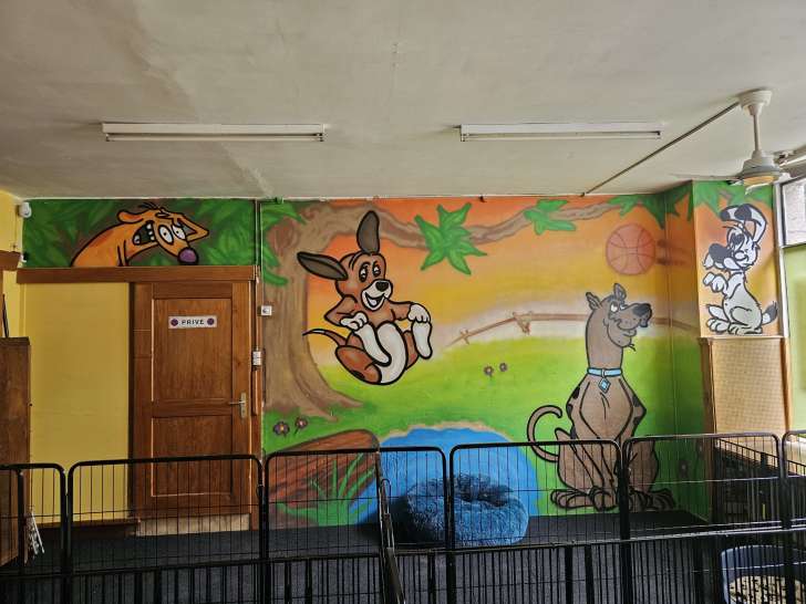 DB Dog Academy