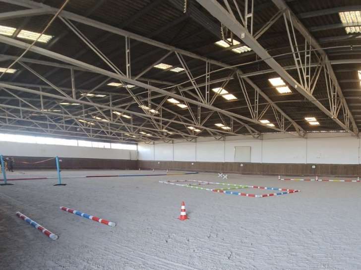 DB Dog Academy
