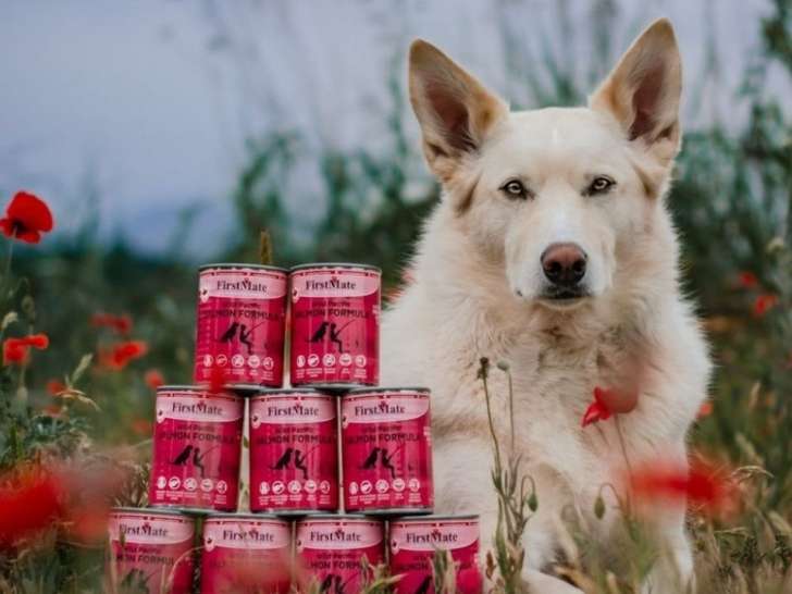 Healthy Pets Boutique