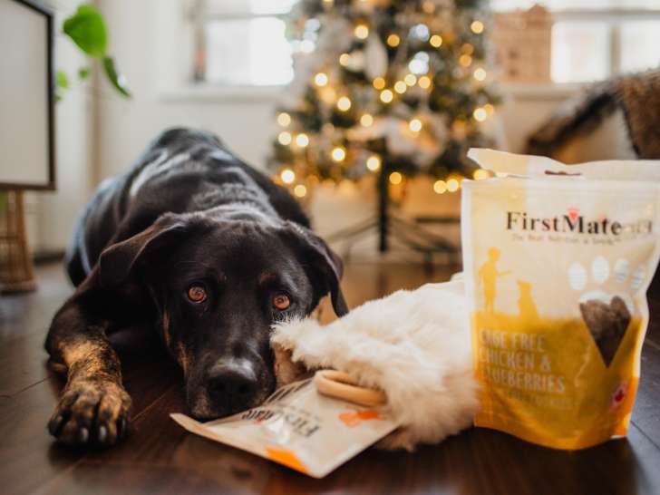 Healthy Pets Boutique